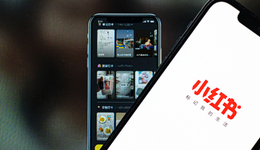 小綠洲“夭折”，小紅書能靠董潔們翻盤嗎？