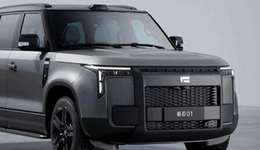 极石能否赶上“末班车”？