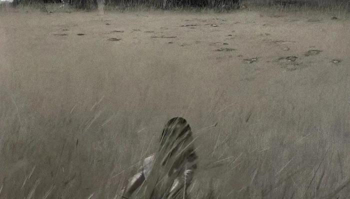 电影,中国市场,备案