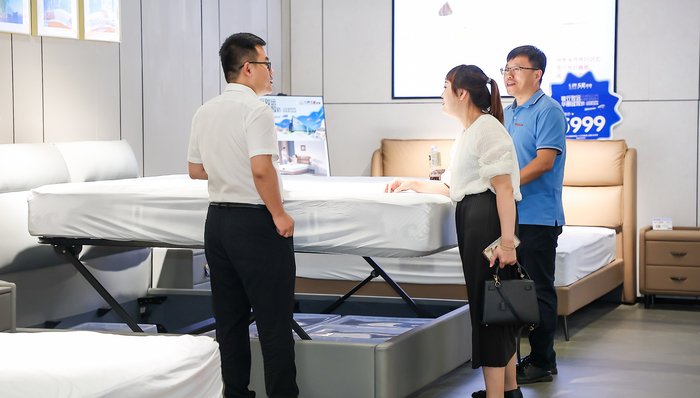 家居,智能家居,外资企业