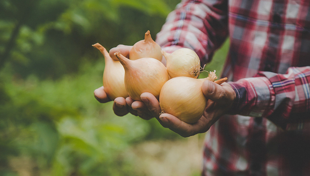 西红柿暴涨后，印度“国民蔬菜”洋葱价格也大幅上涨