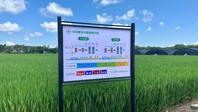 拜耳在农场降解农药废水减污降碳，跨国公司纷纷盯上再生农业