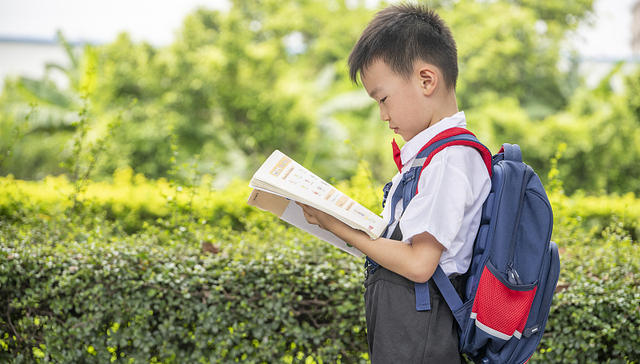 教育部：“一对一”违规培训最高可罚10万元，中小学教师违培将从重处罚