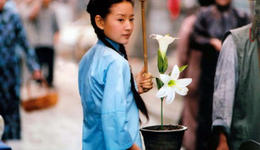 秋瑾梳“东洋髻”，芥川龙之介穿中国服：近代中日服饰文化如何相互影响？| 说书