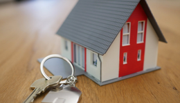 石榴集团不想立于危墙之下