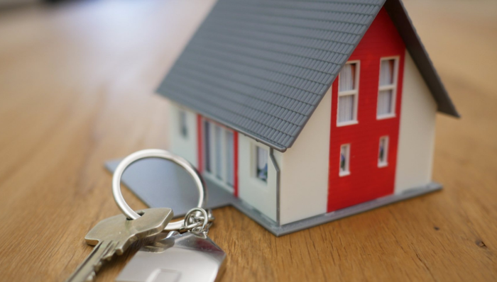 石榴集团,现金流,内斗,