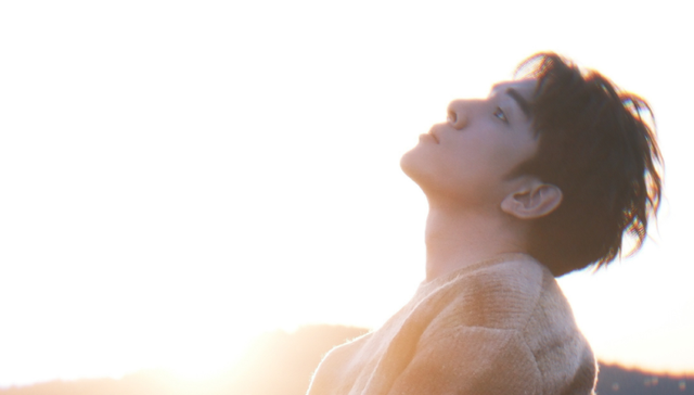 舆论风波,李佳琦,花西子,人设,