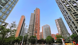 “认房不认贷”政策效果如何？最新数据来了！