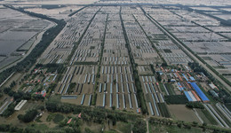 水利部：应对海河流域特大洪水减淹城镇24个，未发生群死群伤事件