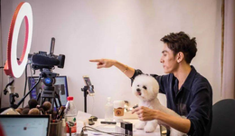 花西子受殃大跌超九成，品牌平臺(tái)重估李佳琦