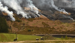 歐洲研究：地球宜居狀況亮紅燈，9個指標中6個已超安全線