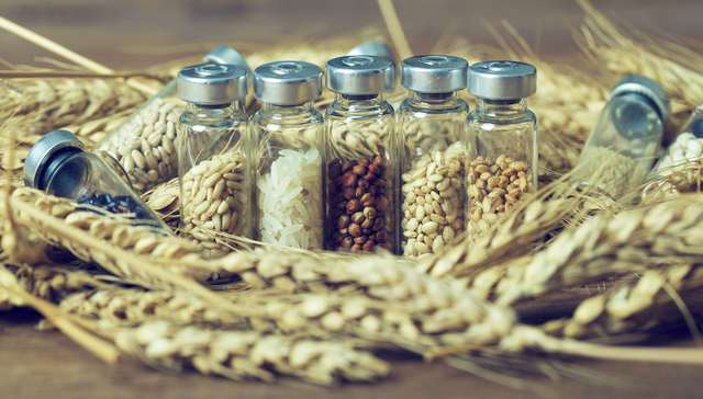 10个涉及假冒伪劣种子、农药、转基因案件被处理，农业农村部披露专项行动