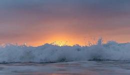 生物科技行业的IPO潮流，可能正在转向