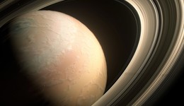 是否一切早已注定？从MBTI到星象论命