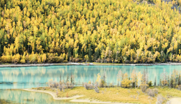 新疆旅游流量火爆：民宿价格翻一倍，跟团游价格稳定