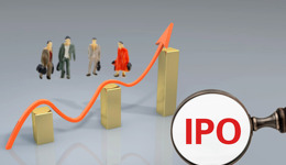 新特能源IPO过会，能扛住硅料下跌带来的业绩压力吗？