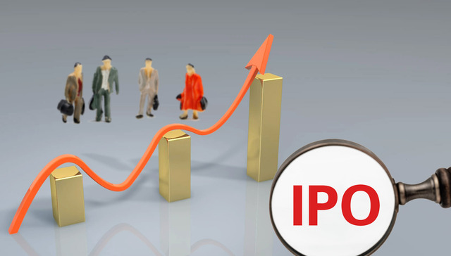 新特能源IPO过会，能扛住硅料下跌带来的业绩压力吗？