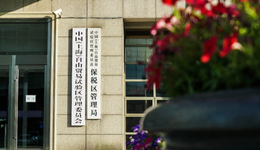 10年累计新设企业8.4万户！除了“特斯拉速度”，上海自贸区还有哪些秘诀？