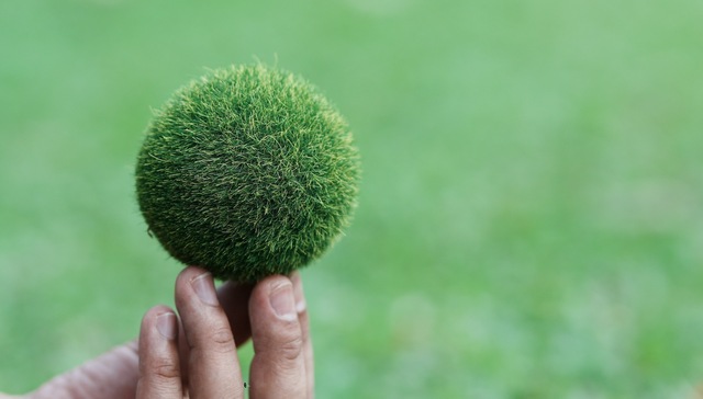 【图解】“双碳”目标提出三周年，这些重大变化正在发生 | “双碳”三周年①