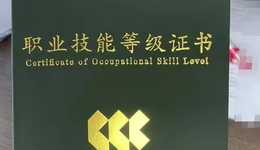 年轻人考证成“瘾”？