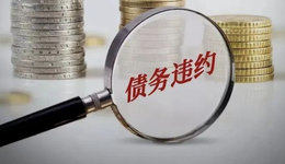 鴻達(dá)興業(yè)被立案，“潮汕老板”用假重組隱瞞真協(xié)查？