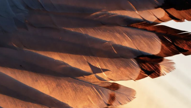 钉钉,飞书,企业微信,saas,互联网