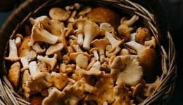 萬辰生物更名，“采蘑菇的小姑娘”去賣零食了