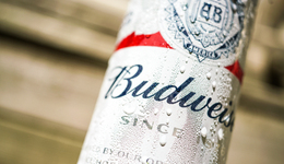 再觅新朋友，百威啤酒的高端焦虑症