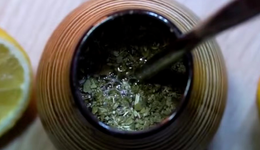 “馬黛茶專門店”走紅上海、廣州，今年這款小眾茶要出圈？