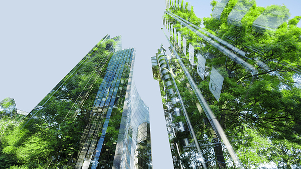 “双碳”行动期间或将出现约160万亿元投资需求，国有大行和股份行布局情况如何？