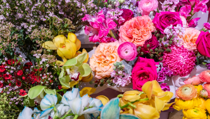 内外交困,鲜花电商,花加关门,无法支付,供应商14万,被执行人