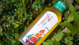 质疑东方树叶，理解东方树叶