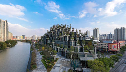 上海普陀民營企業(yè)占比達95%，如何助力企業(yè)激發(fā)經(jīng)濟活力？