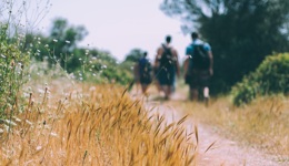 休息即創(chuàng)造：身體旅行，大腦激蕩