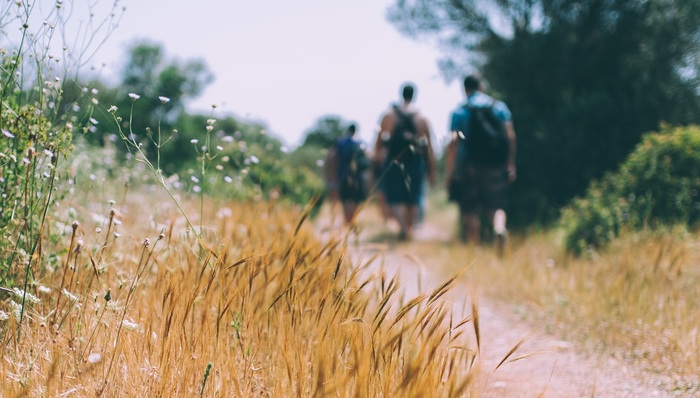 外国文学,神经外科