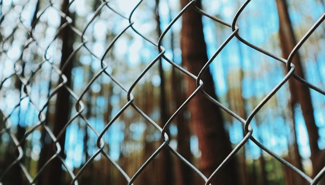 地方新闻精选 | 云南腾冲将设边境严管区整治涉缅北电诈 北京明确务工随迁子女报考高职条件