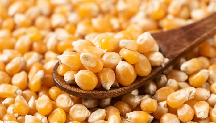 康农种业,IPO遇阻,北交所,再问,2.5万吨,产能,可行性