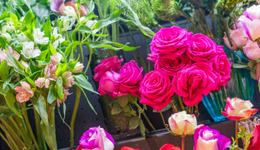 花加停业整顿：有人拿回3000元退款，有人只抢到几束花