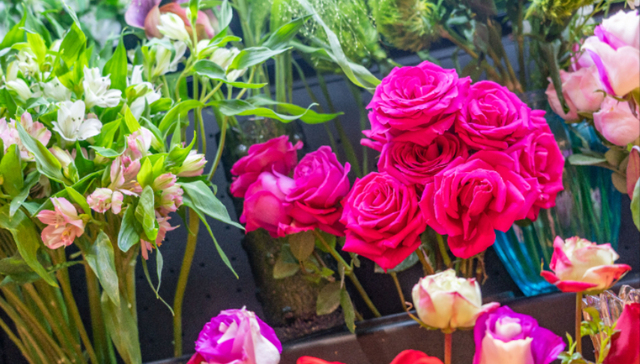 鲜花电商,消费,创业,配送,花加