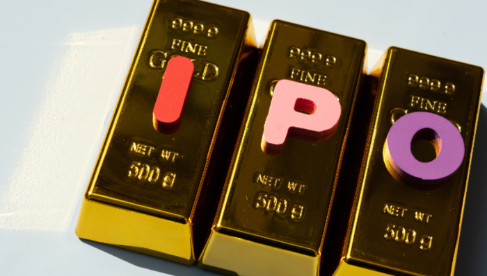 德州扒鸡,餐饮连锁,上市,募资,