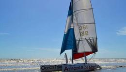 实体瘤领域“大撤退”，诺华在想什么