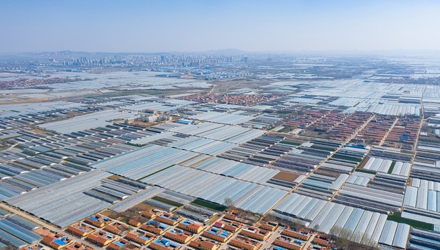 从高频数据看9月物价走势：生产端上升、消费端分化