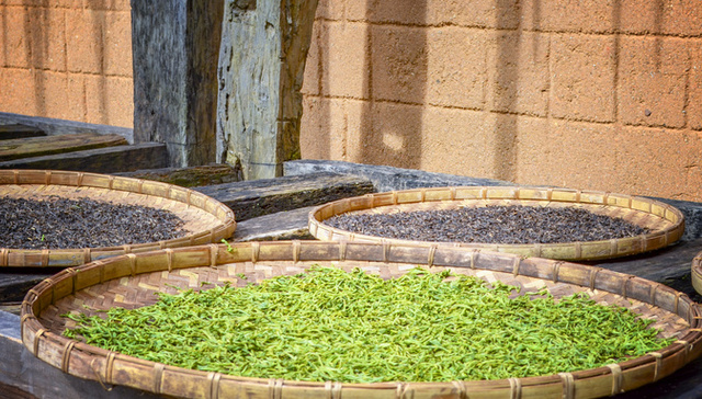 八马茶业,中国茶叶,香港联交所,澜沧古茶,IPO