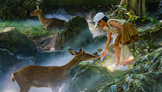 【图集】点燃“超级黄金周”，在人潮中也要玩出新花样