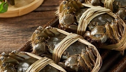 江苏独生女回村接班：一年营收1.6亿，冲到品类前三