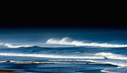不像人的人，比不像沙鼠的沙鼠好不了多少 | 一周新书推荐