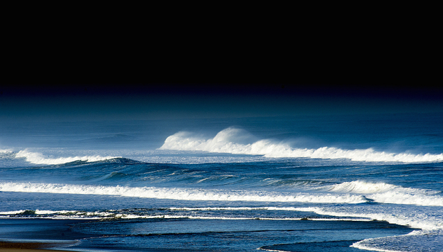不像人的人，比不像沙鼠的沙鼠好不了多少 | 一周新书推荐
