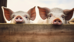 新希望刘永好认栽