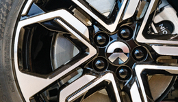 從放牛到吹牛，李斌的“風(fēng)口人生”