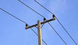 一年要新栽7万根：日本为什么成了“电线杆大国”？